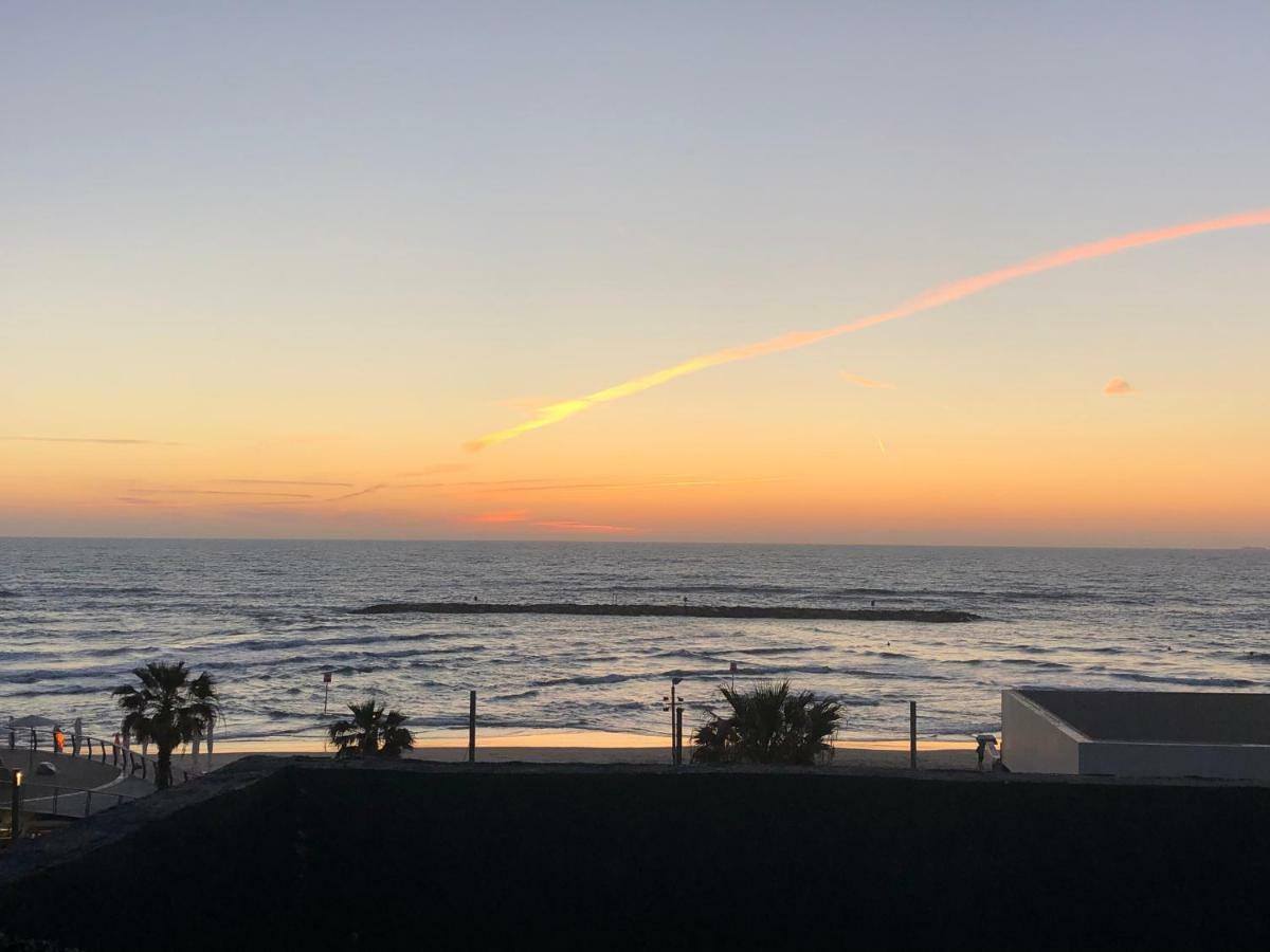 Beach Front Rooftop Apartment 特拉维夫 外观 照片
